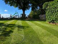 Turfing 10